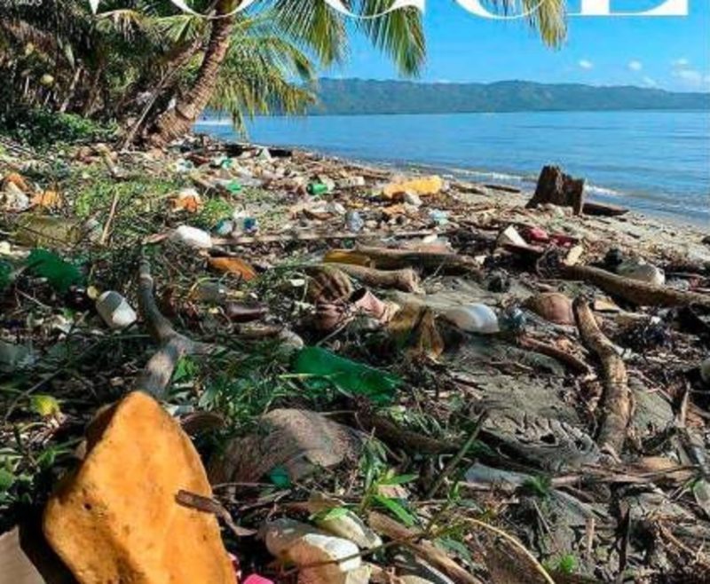 Hoteleros critican malos dominicanos se unan a campaña de descrédito contra RD