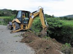 Investigación genética animal y vegetal será  mayor prioridad Ministerio de Agricultura