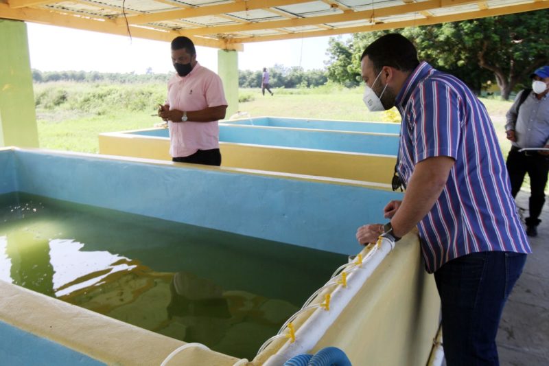 Instalaciones de la Estación Modelo de Producción Acuícola (EMPA), serán remozadas por CODOPESCA