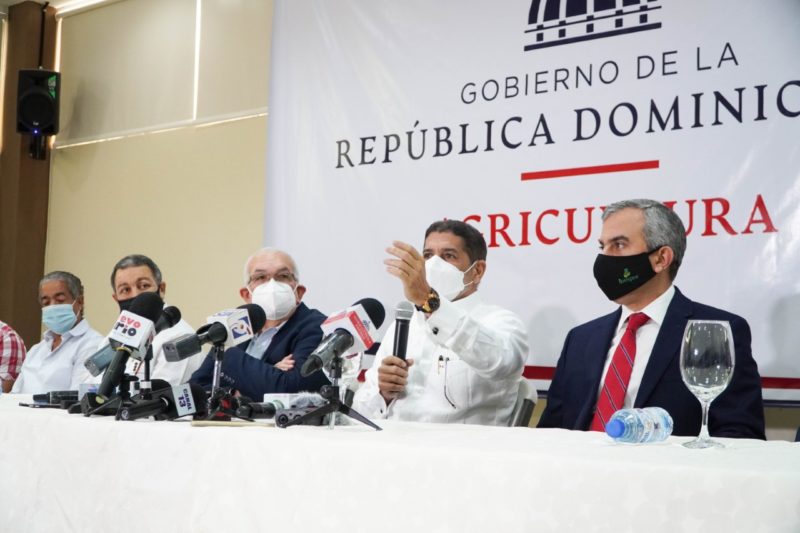 Gobierno comprará 100 mil quintales de cebolla para estabilizar el precio del producto