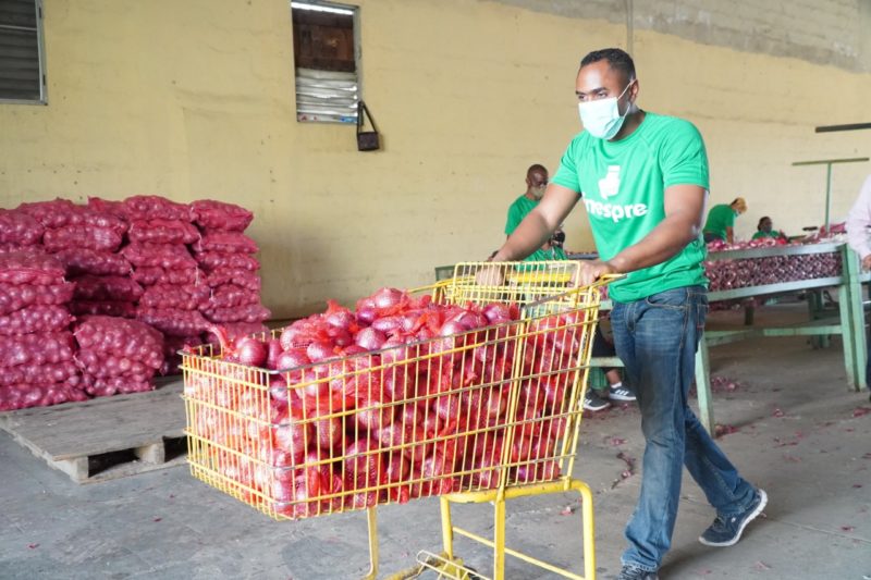 Inespre vende más de 6 mil quintales de cebolla a 10 pesos la libra 