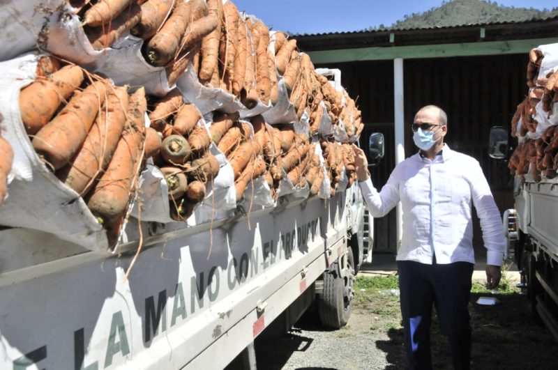 Ministerio de Agricultura interviene producción de zanahorias en Constanza