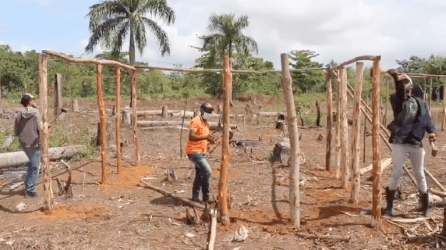 El CEA desaloja de terrenos a red de invasores en el distrito municipal de Gonzalo, de SGB