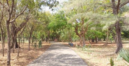 Parque Mirador Sur iniciativa valorada positivamente en el tiempo. 