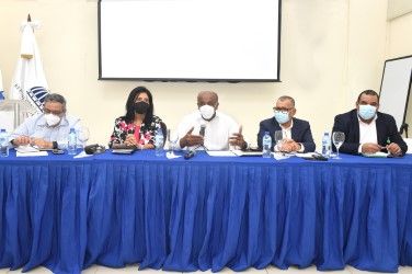 Almonte explica a inversionistas alcance nuevos contratos en energía renovable