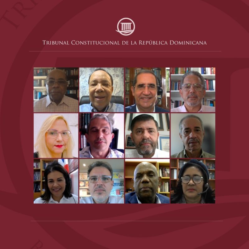 Tribunal Constitucional conoce y decide veinticinco expedientes