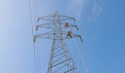 Edes anunciarán gran licitación para reducir gastos operativos y pérdidas