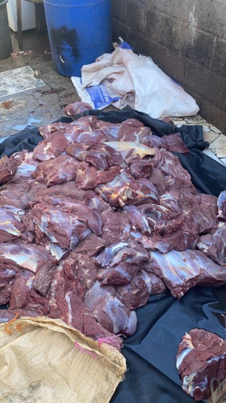 Someten justicia varias personas dedicaban venta y distribución carnes no aptas para consumo