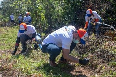 Edesur siembra 4,800 plantas en los Mogotes de Villa Altagracia 