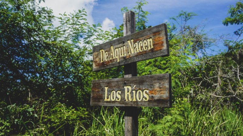 Medio Ambiente y PNUD harán mapeo nacional para identificar áreas con mayores beneficios ambientales 