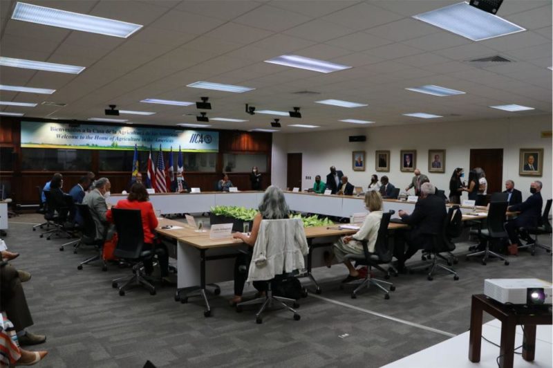 IICA apoya acciones tripartitas de Haití, República Dominicana y Estados Unidos para controlar y erradicar la peste porcina africana en el hemisferio