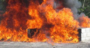 El Inacif incinera otros 83 kilogramos de drogas