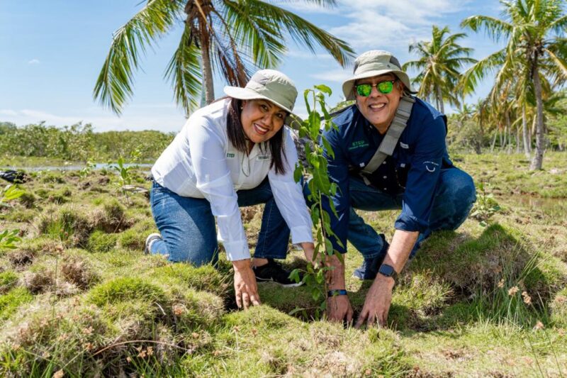 ETED DESARROLLA JORNADA DE REFORESTACIÓN, FOMENTA RECUPERACIÓN DE MANGLARES Y ECOSISTEMAS 