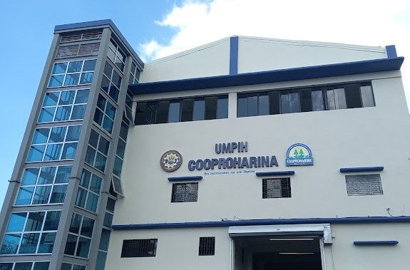 Industria de la harina: 35 años de crecimiento unificado 98% son MiPymes en esta industria, del 98% del país. 