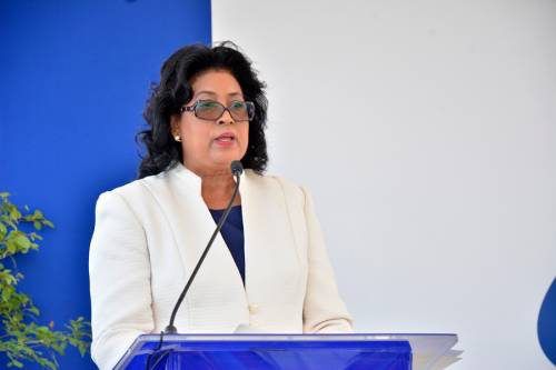 Cristina Lizardo califica de penoso descuido del gobierno con plan de Alfabetización