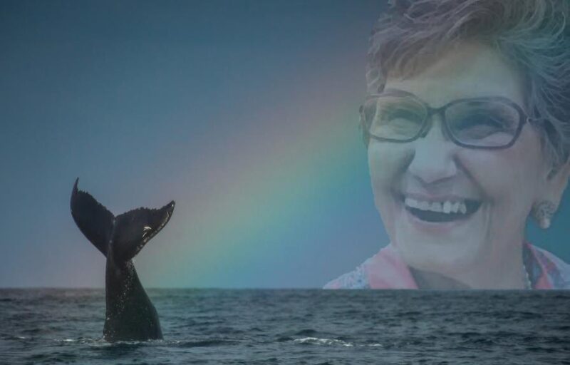 Academia de Ciencias recuerda natalicio de Idelisa Bonnelly de Calventi, madre de la biología marina dominicana