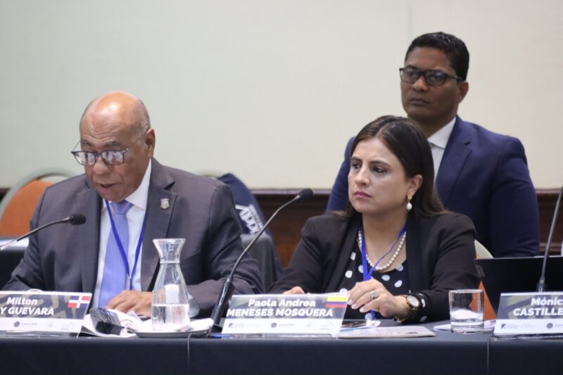 Ray Guevara habla sobre la gestión jurisdiccional y administrativa del TC en evento internacional