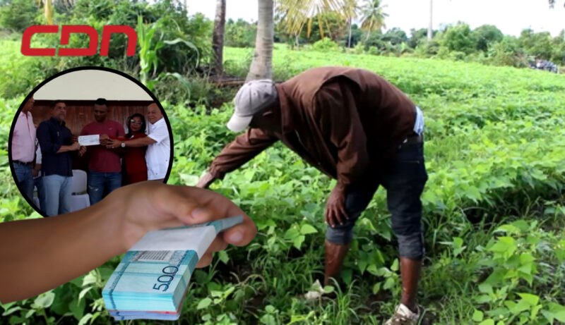 2,600 productores afectados por Thrips en habichuelas en San Juan reciben del Gobierno RD$181 millones en compensación