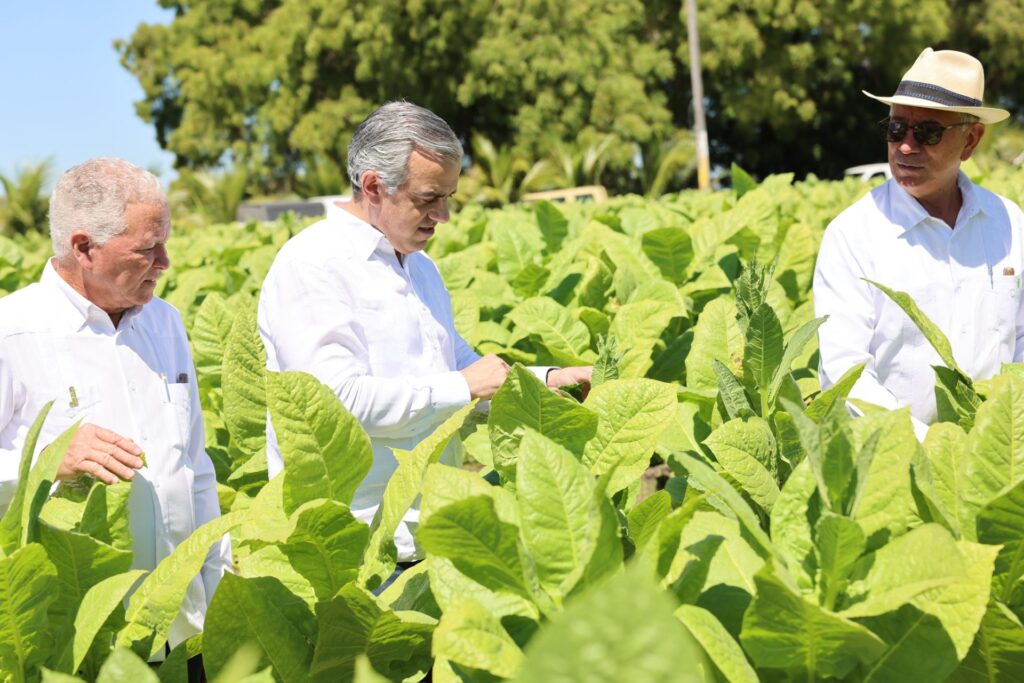 Tabaco dominicano llega a 148 países informó Intabaco