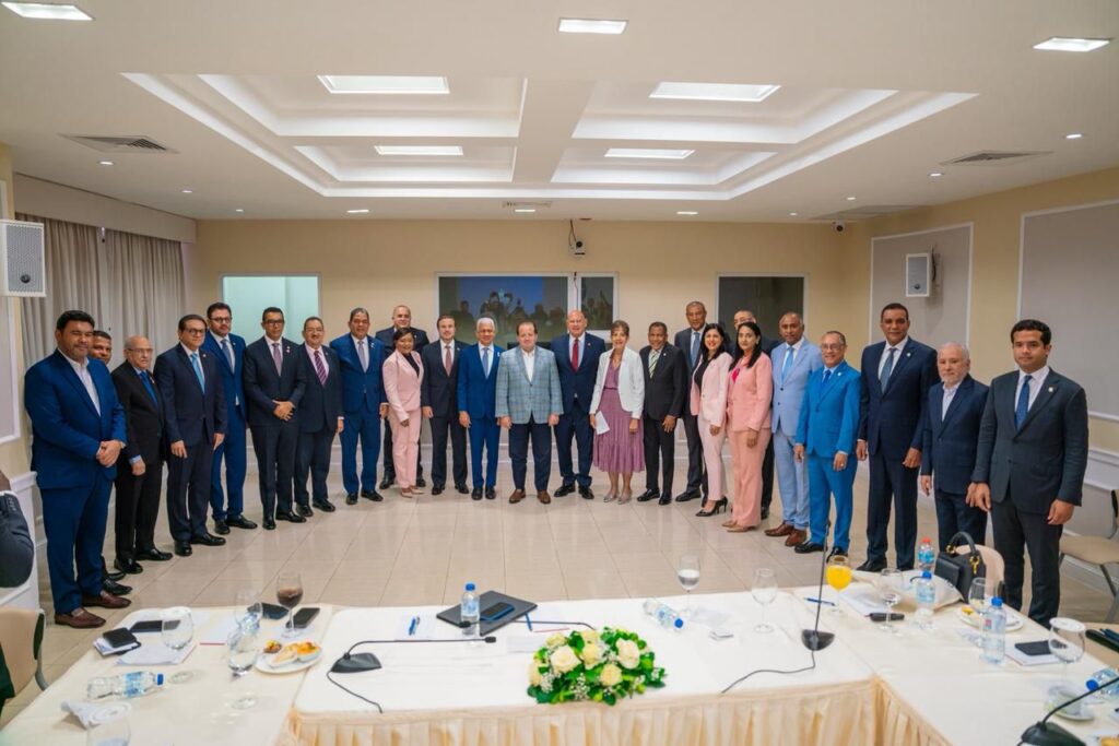 Ministro Paliza presenta al Senado estrategia Meta RD 2036